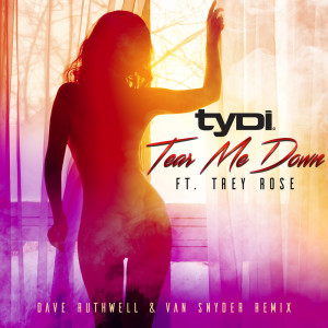 อัลบัม Tear Me Down (Dave Ruthwell & Van Snyder Remix) ศิลปิน tyDi