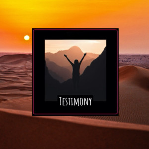 Listen to Testimony song with lyrics from Lizzyk
