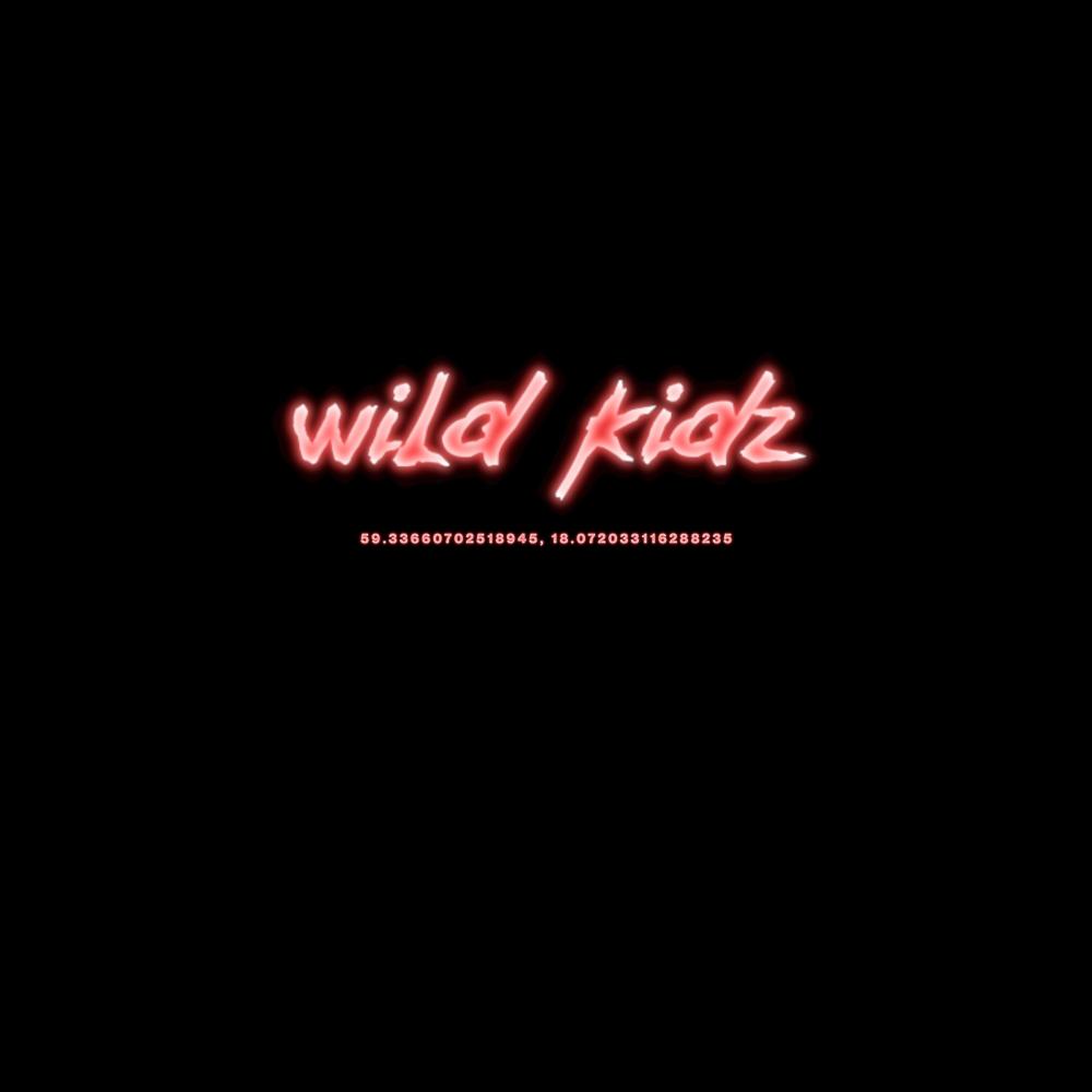 wild kidz (feat. lil lördag) (Mainstage)