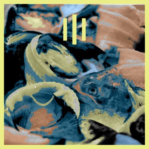 Sally's Seashells. (Explicit)