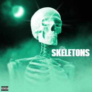 Album Skeleton In The Room from DLZ