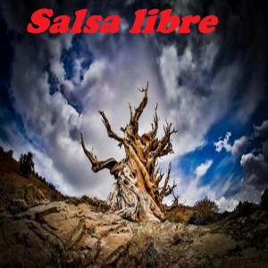 Listen to Dolor Cobarde song with lyrics from Dimension Latina