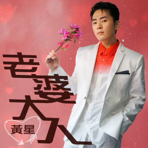Listen to 老婆大人 (伴奏) song with lyrics from 黄星