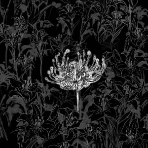 Dengarkan black man lagu dari Papa dengan lirik