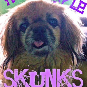 ดาวน์โหลดและฟังเพลง Melancholy (feat. the Pug Shirts) พร้อมเนื้อเพลงจาก The Purple Skunks