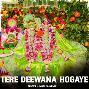 Album Tere Deewana Hogaye from Mani Sharma