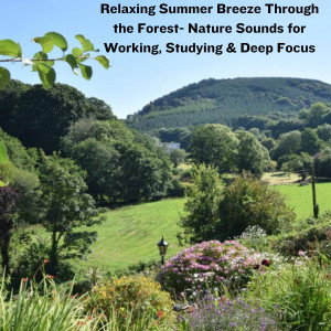 Natural Sounds Selections的专辑Relaxing Summer Breeze Through the Forest- Nature Sounds for Working, Studying & Deep Focus