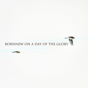 ดาวน์โหลดและฟังเพลง FOREST SOUL พร้อมเนื้อเพลงจาก BORNNEW