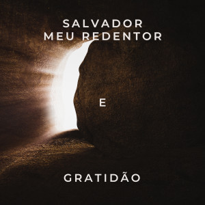 Listen to Salvador Meu Redentor E Gratidão (Medley) song with lyrics from Luz Music