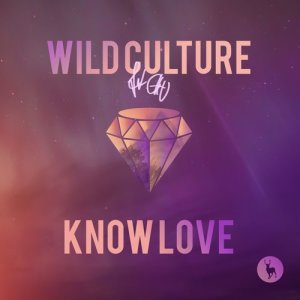 收聽Wild Culture的Know Love (feat. Chu)歌詞歌曲