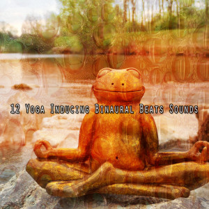Album 12 Yoga Inducing Binaural Beats Sounds oleh Binaural Beats