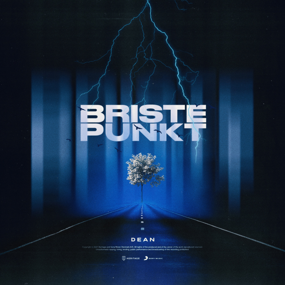 Bristepunkt