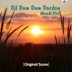 Album Dil Dam Dam Dardon Mandi Hai from Reshma