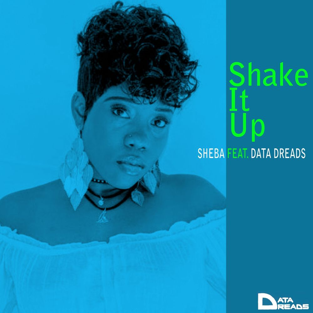 Shake It Up (Club Mix)