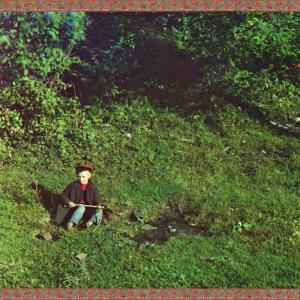 ดาวน์โหลดและฟังเพลง Goodbye Lalaland พร้อมเนื้อเพลงจาก Foresteppe