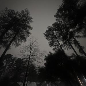Album Cmon from JayB