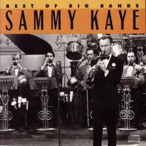 ดาวน์โหลดและฟังเพลง Tennessee Waltz (Album Version) พร้อมเนื้อเพลงจาก Sammy Kaye