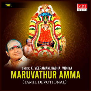 Album Maruvathur Amma from Vidhya