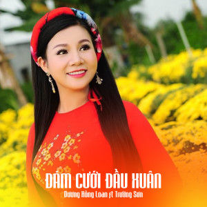 Dương Hồng Loan的专辑Đám Cưới Đầu Xuân