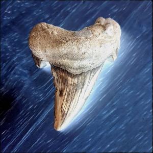 ดาวน์โหลดและฟังเพลง Toothpik พร้อมเนื้อเพลงจาก Electrix