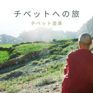 收聽治療の音楽コレクション的知恵と優しさ歌詞歌曲