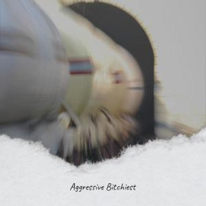 Various的专辑Aggressive Bitchiest