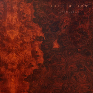 ดาวน์โหลดและฟังเพลง The Trapper and the Trapped พร้อมเนื้อเพลงจาก True Widow