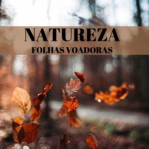 อัลบัม Natureza: Folhas Voadoras ศิลปิน Música Zen Relaxante