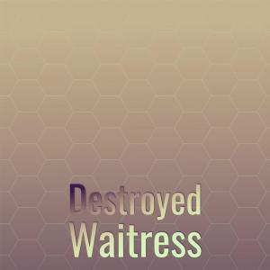 Listen to Destroyed Waitress song with lyrics from Dete Rayon