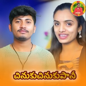 Listen to Chinuku Chinuku Pani song with lyrics from Devendar MM
