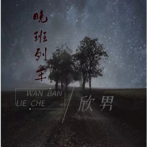 Listen to 晚班列车 (完整版) song with lyrics from 欣男