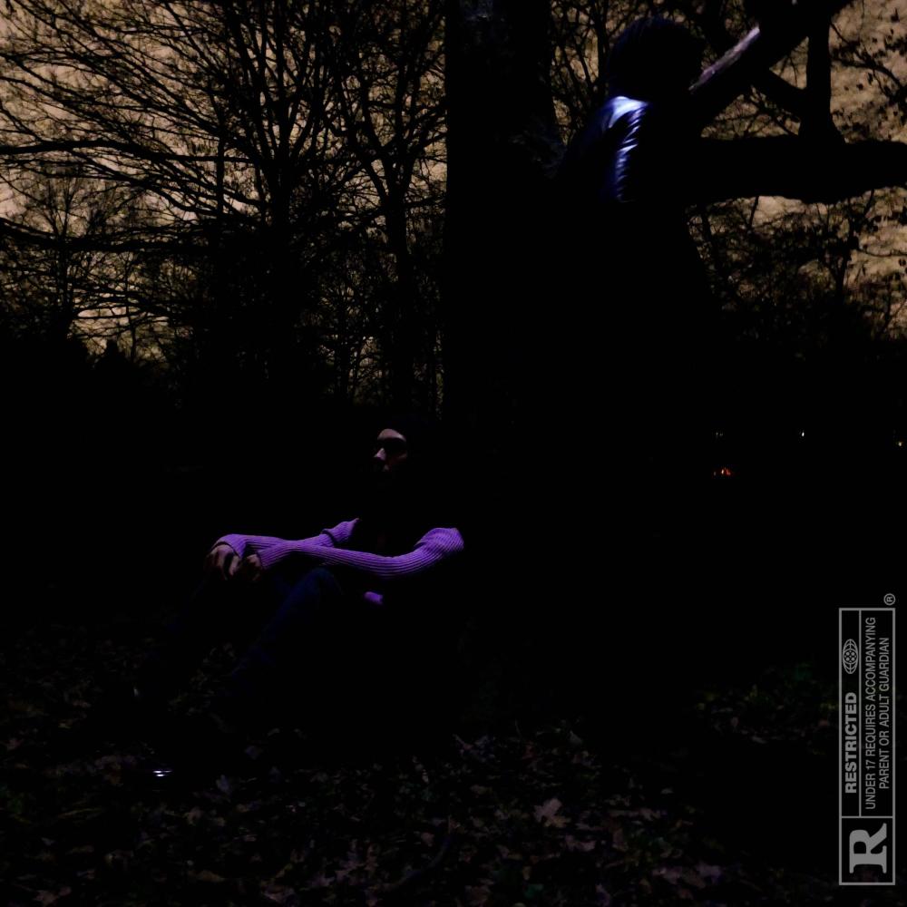 On Ice (feat. Him$ & Chris King) (Explicit)