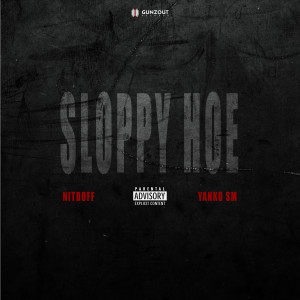 NitDoff的专辑Sloppy Hoe (Explicit)