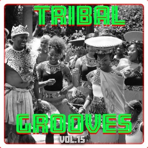 Album Tribal Grooves Vol. 15 from 'Umar Abdul ''Aziz Fadar Bege'