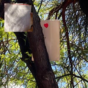 DC Capital的專輯NEW JERUSALEM'S JOY COMES IN THE MOURN (Explicit)