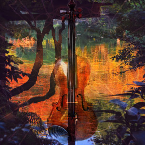 收聽Violin Collective的The Sanctity of Happiness歌詞歌曲