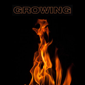 收听ILISH的Growing歌词歌曲