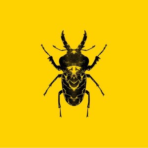 收聽Golden Features的Falling Out歌詞歌曲
