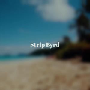 Listen to Pup song with lyrics from Heida Blaks