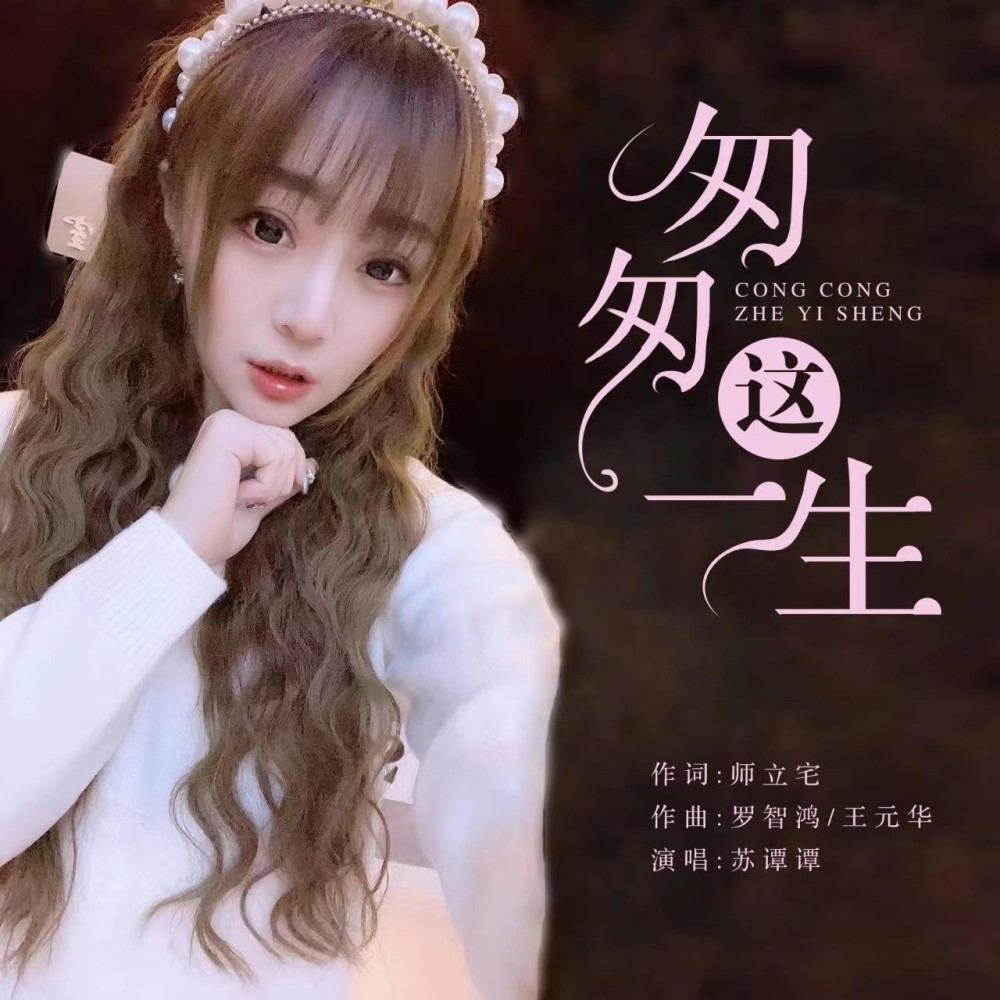 匆匆这一生 (DJ彭锐版伴奏)