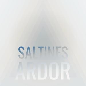Listen to Alberto Este song with lyrics from Guie Eser