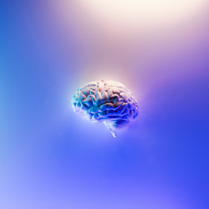 Album My Last Brain Cell (Explicit) from Toyko