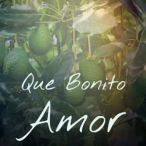 收听Lola Flores的Como Duele Una Traicion歌词歌曲