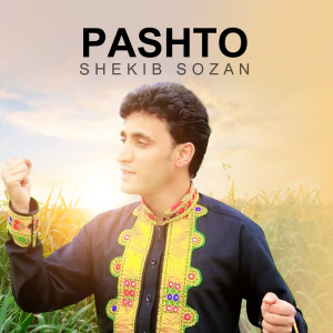 收听Shekib Sozan的Pashto Tor Stergy歌词歌曲