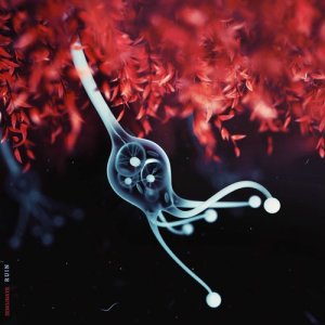 收聽Senojnayr的RUIN (ORIGINAL)歌詞歌曲