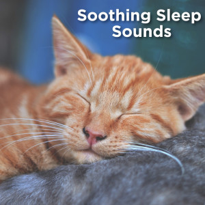 Listen to Ocean Sounds For Deep Sleep song with lyrics from Ocean Sounds