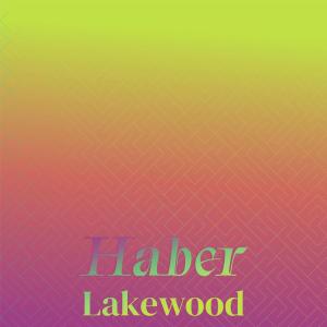 Album Haber Lakewood from Various