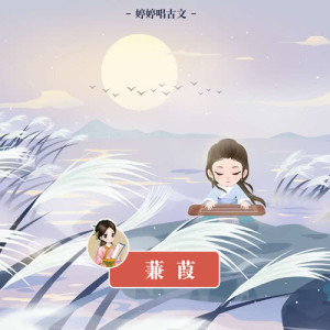 收聽胡婷婷的詩經.蒹葭歌詞歌曲