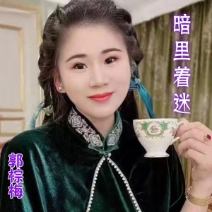 Listen to 暗里着迷 (cover: 刘德华) (完整版) song with lyrics from 郭棕梅