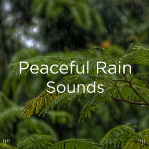 ดาวน์โหลดและฟังเพลง Deep Sleep Rain พร้อมเนื้อเพลงจาก Rain Sounds